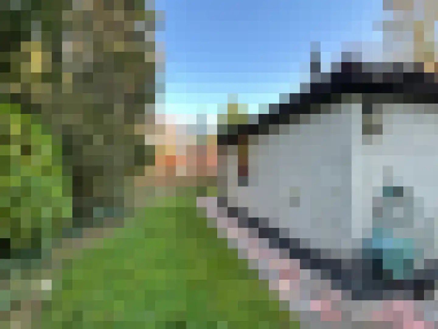 Leuvenumseweg 120 302 Ermelo thumbnail 23