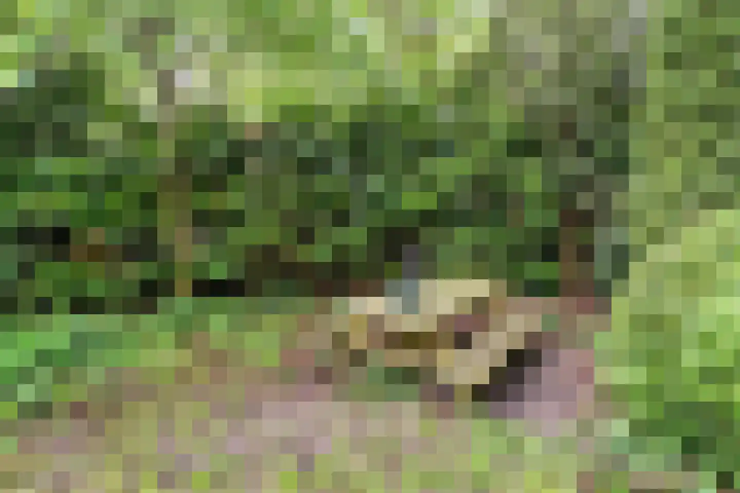 Leuvenumseweg 120 336 Ermelo thumbnail 23