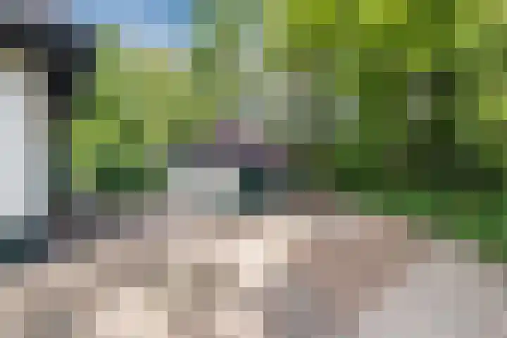 Leuvenumseweg 2 Harderwijk thumbnail 4