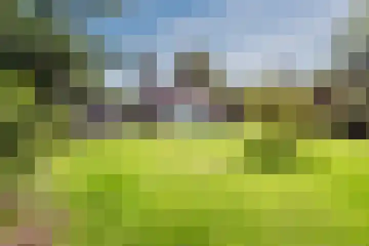 Leuvenumseweg 2 Harderwijk thumbnail 63