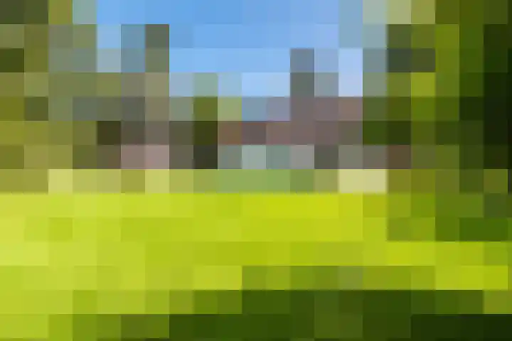 Leuvenumseweg 2 Harderwijk thumbnail 64