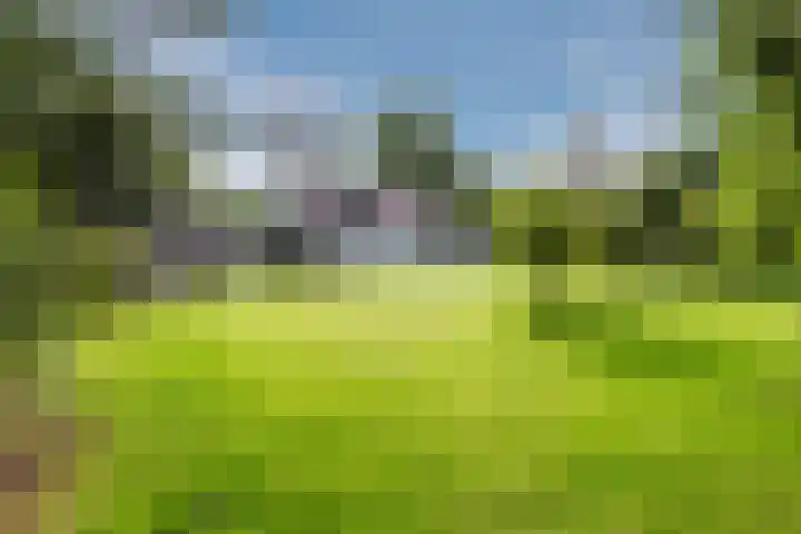 Leuvenumseweg 2 Harderwijk thumbnail 66