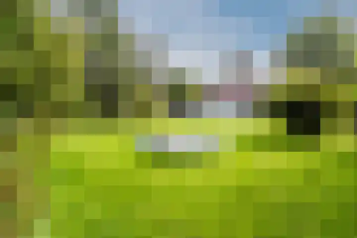 Leuvenumseweg 2 Harderwijk thumbnail 67
