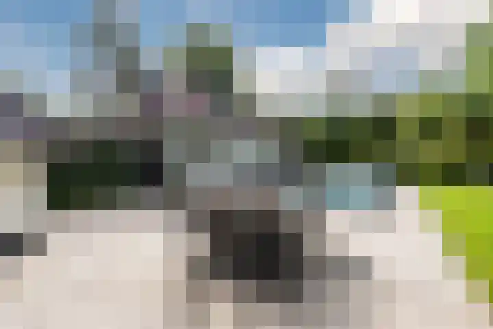 Leuvenumseweg 2 Harderwijk thumbnail 68