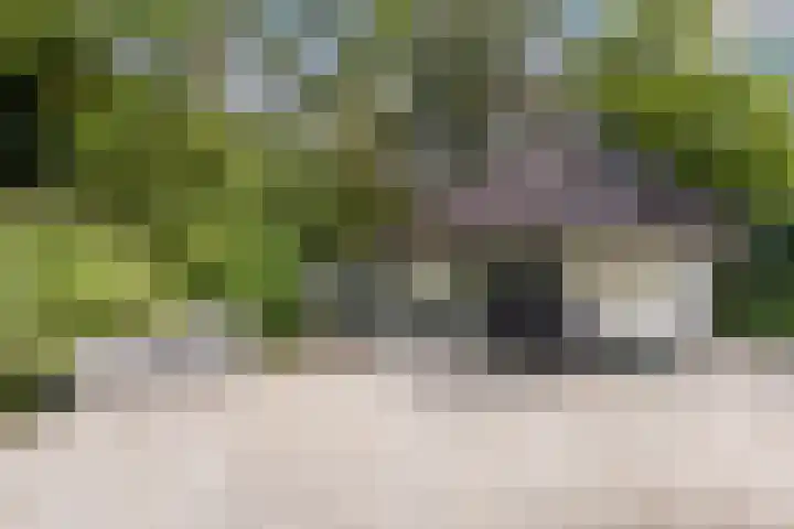 Leuvenumseweg 2 Harderwijk thumbnail 69