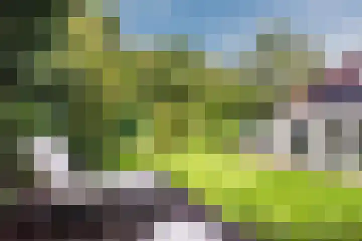 Leuvenumseweg 2 Harderwijk thumbnail 70