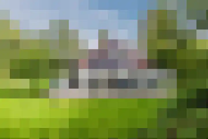 Leuvenumseweg 2 Harderwijk thumbnail 71
