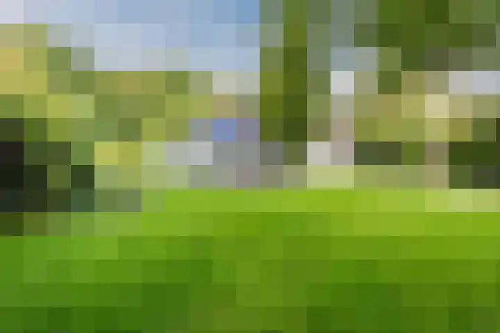 Leuvenumseweg 2 Harderwijk thumbnail 73