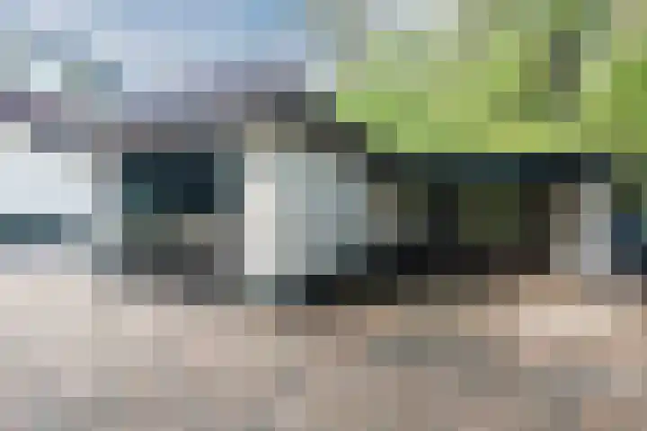 Leuvenumseweg 2 Harderwijk thumbnail 74