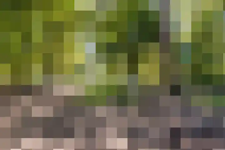 Leuvenumseweg 2 Harderwijk thumbnail 78