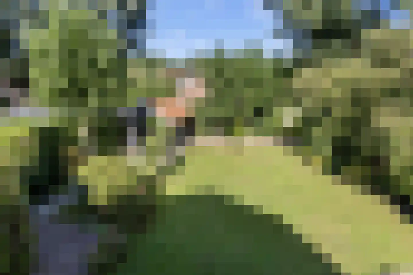 Leuvenumseweg 21 Ermelo thumbnail 25