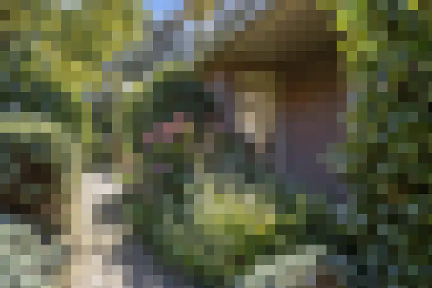 Leuvenumseweg 21 Ermelo thumbnail 47