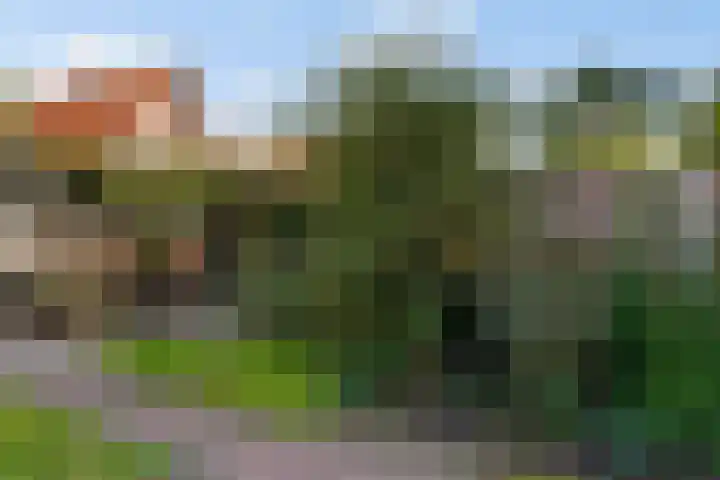Leuvenumseweg 4 A Ermelo thumbnail 38