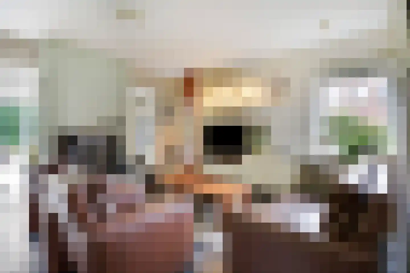 Leuverinkstraat 22 Gaanderen thumbnail 19