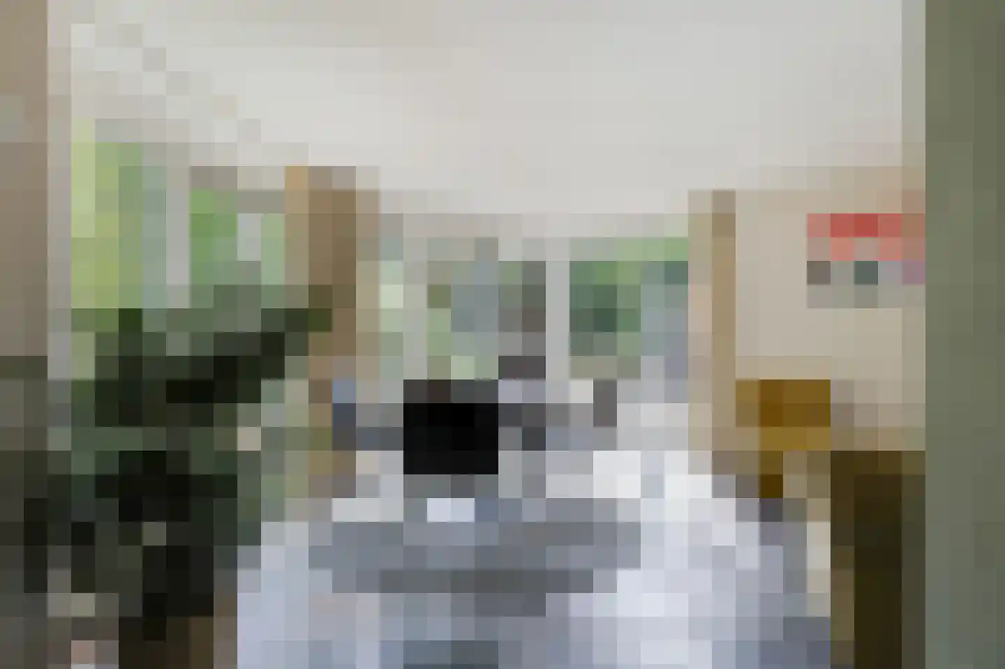 Leuverinkstraat 22 Gaanderen thumbnail 24