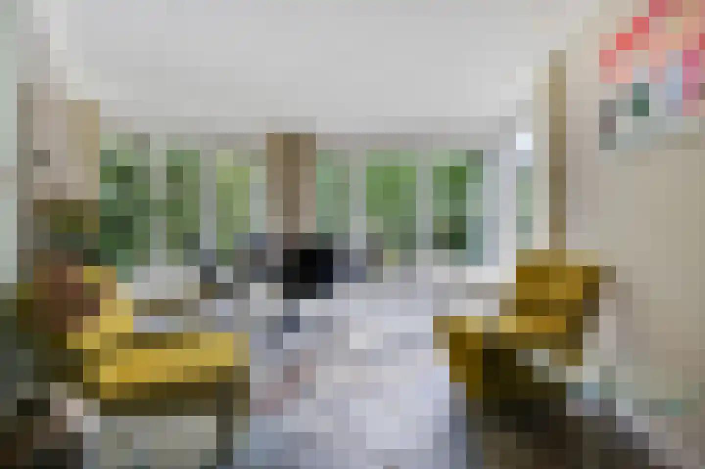 Leuverinkstraat 22 Gaanderen thumbnail 27