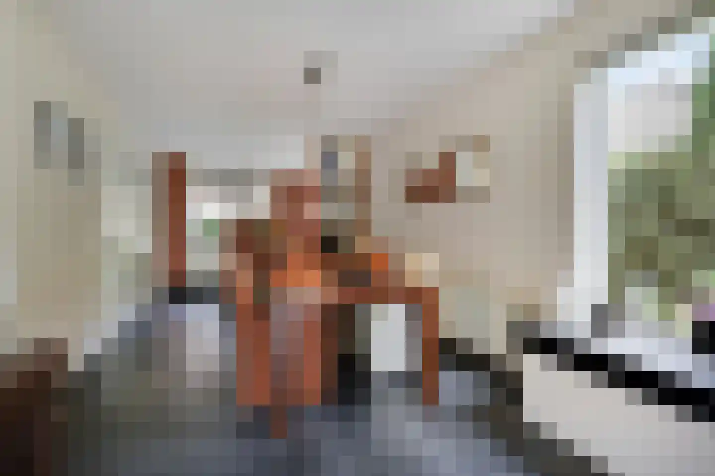 Leuverinkstraat 22 Gaanderen thumbnail 30