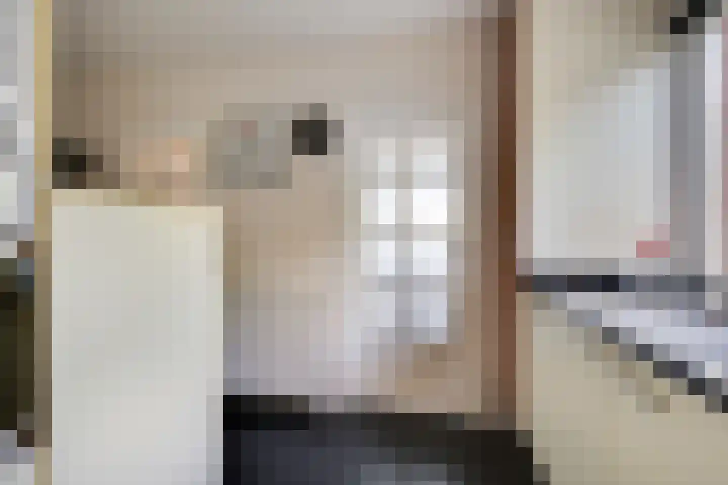 Leuverinkstraat 22 Gaanderen thumbnail 33