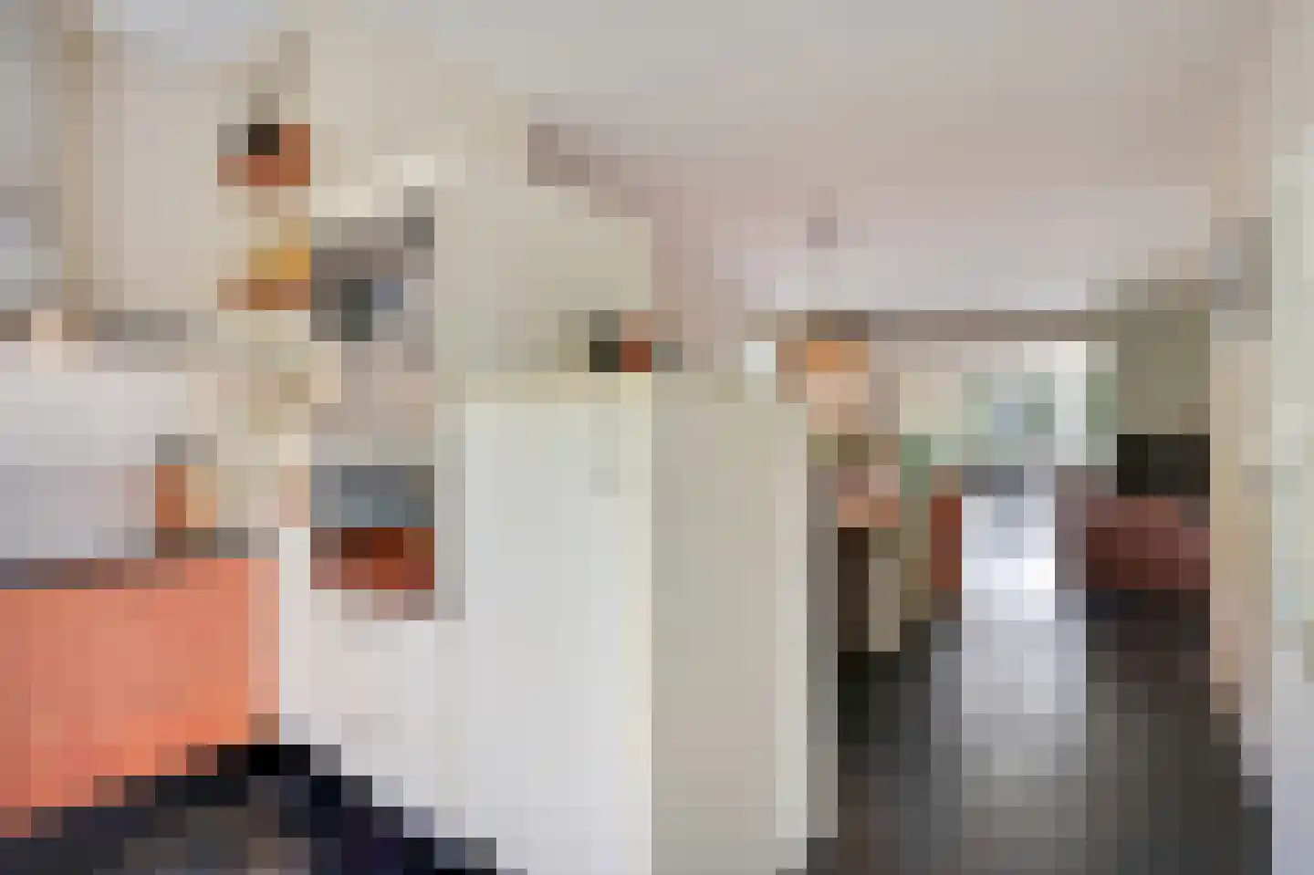 Leuverinkstraat 22 Gaanderen thumbnail 34