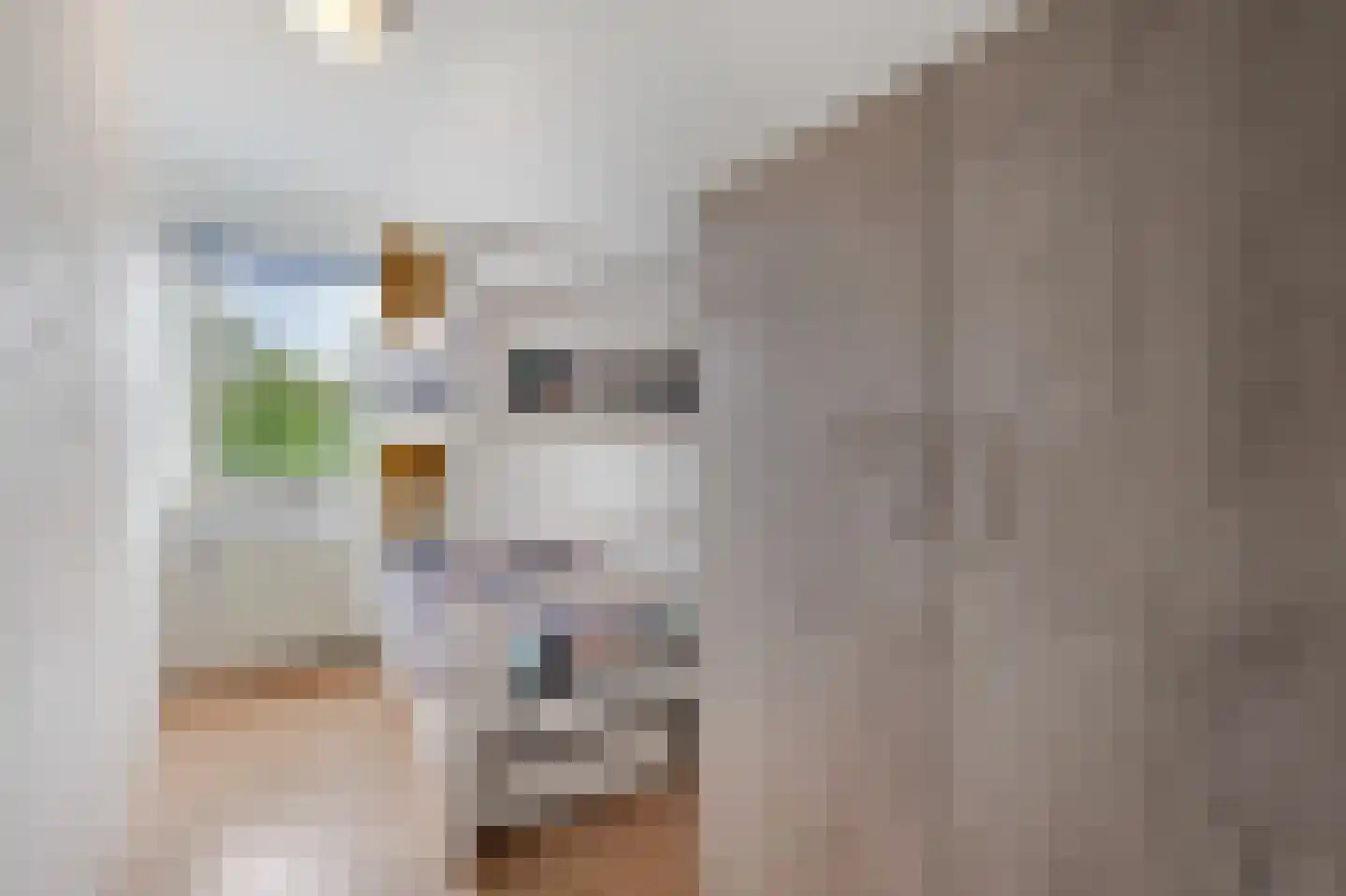 Leuverinkstraat 22 Gaanderen thumbnail 42