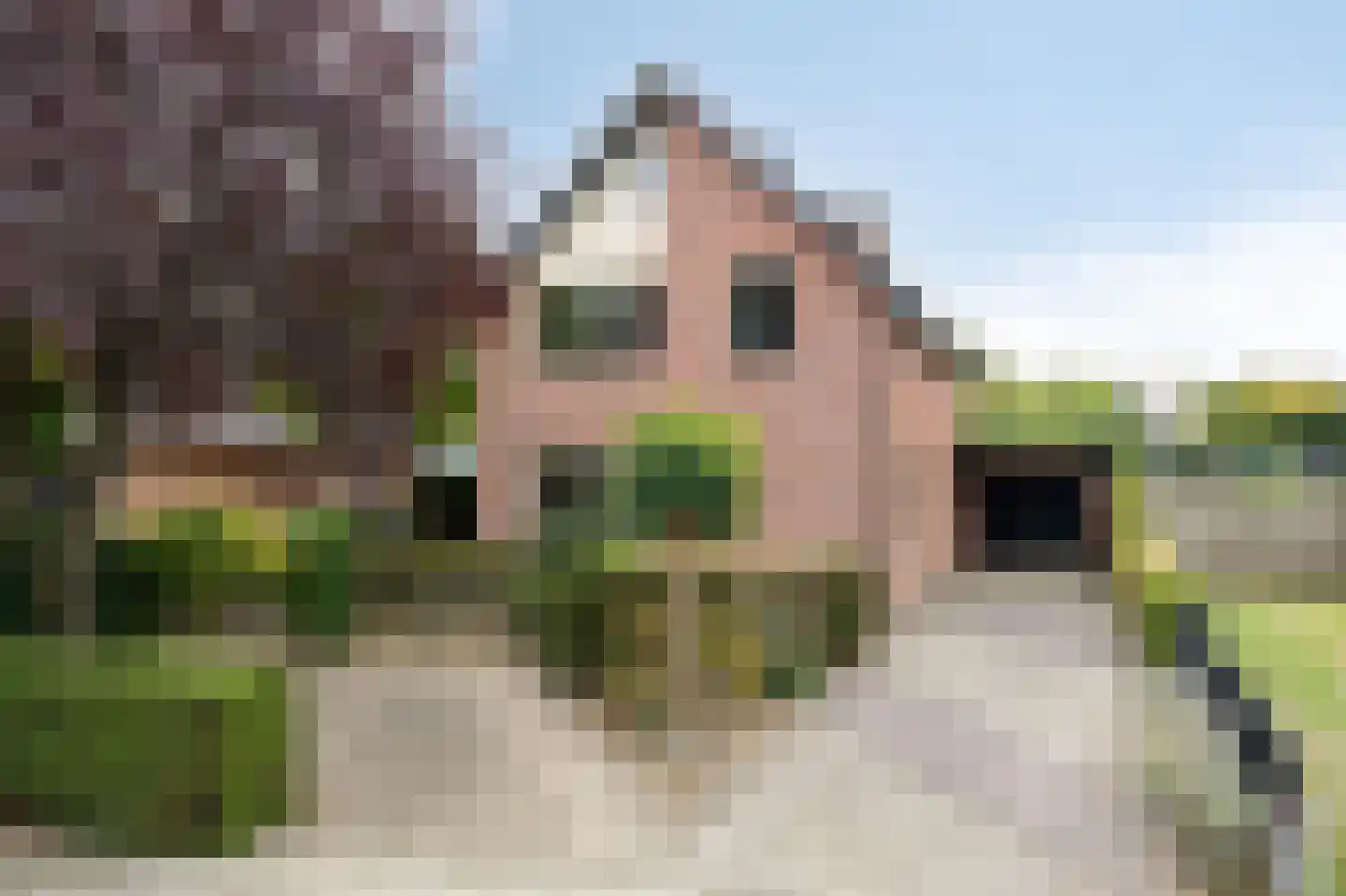 Leuverinkstraat 22 Gaanderen thumbnail 6