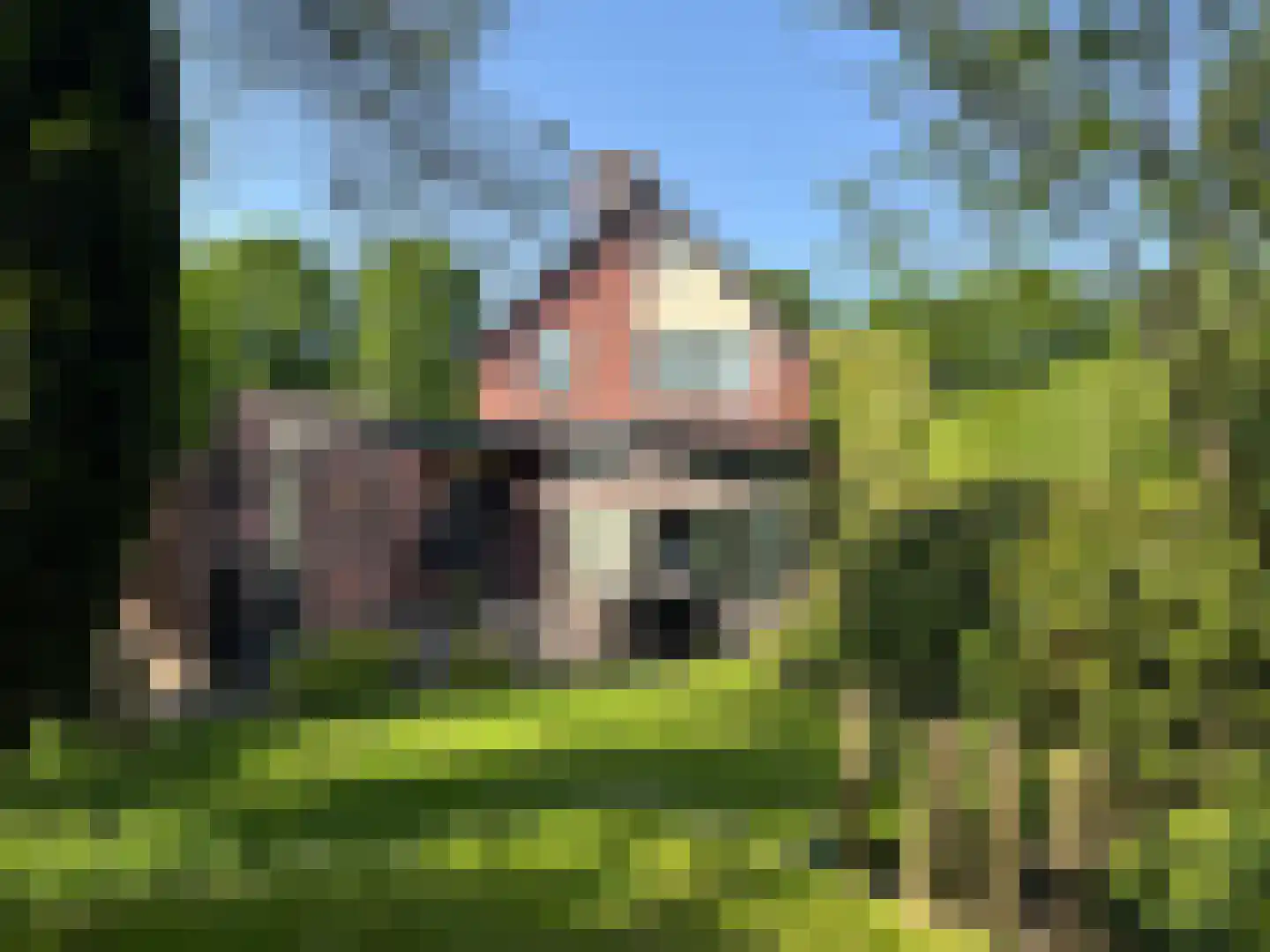 Leuverinkstraat 22 Gaanderen thumbnail 65