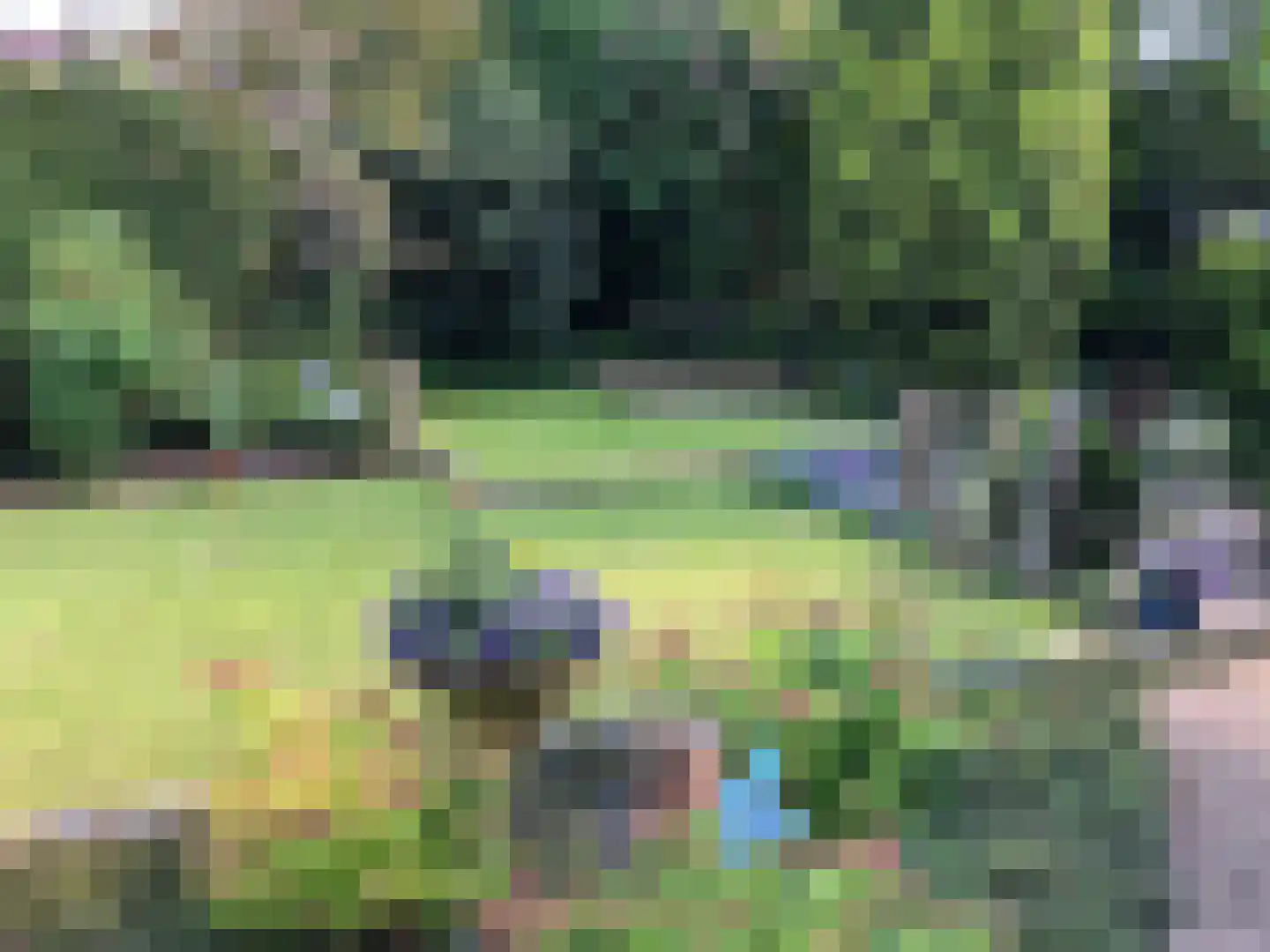 Leuverinkstraat 22 Gaanderen thumbnail 77