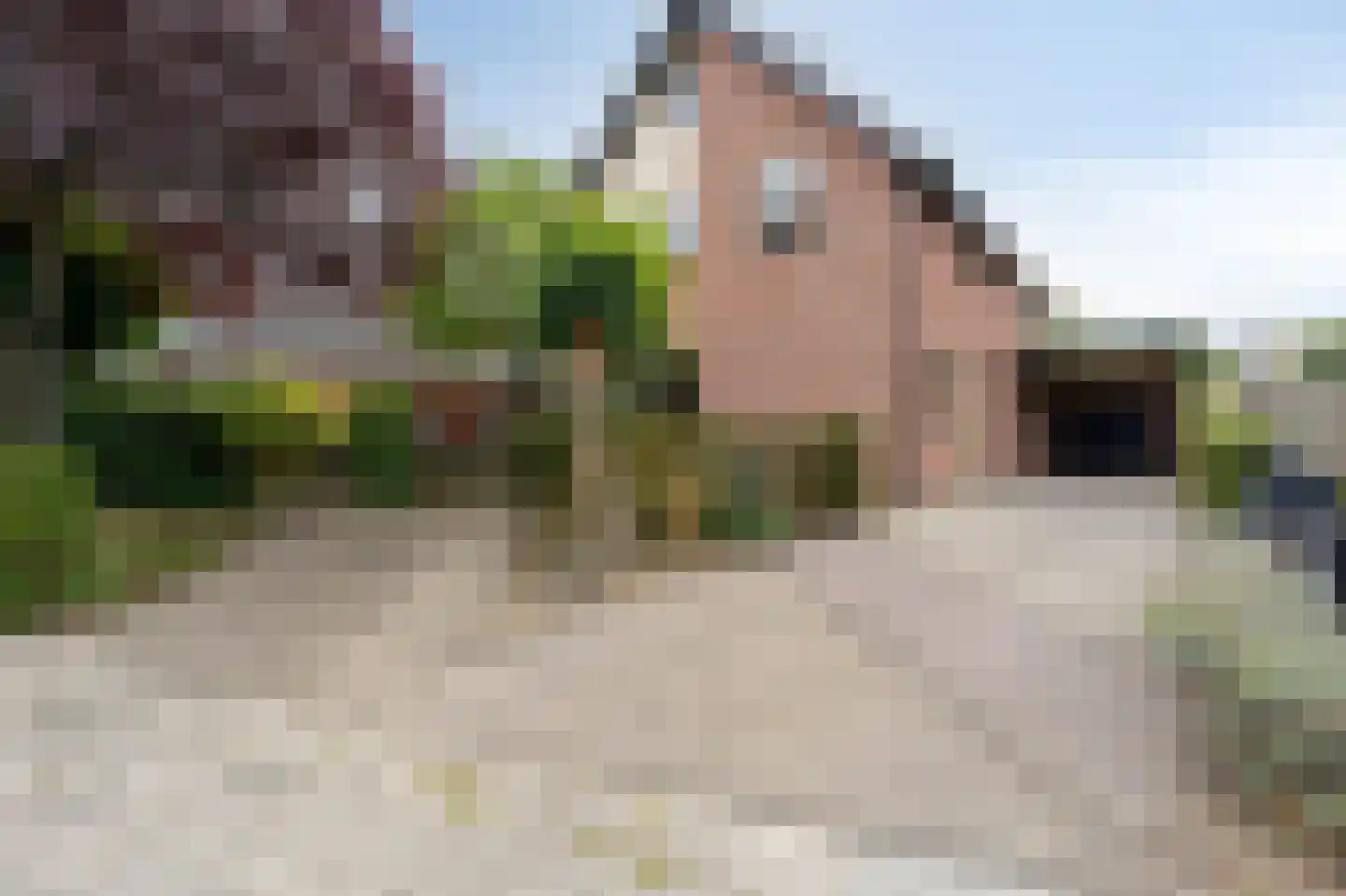 Leuverinkstraat 22 Gaanderen thumbnail 8