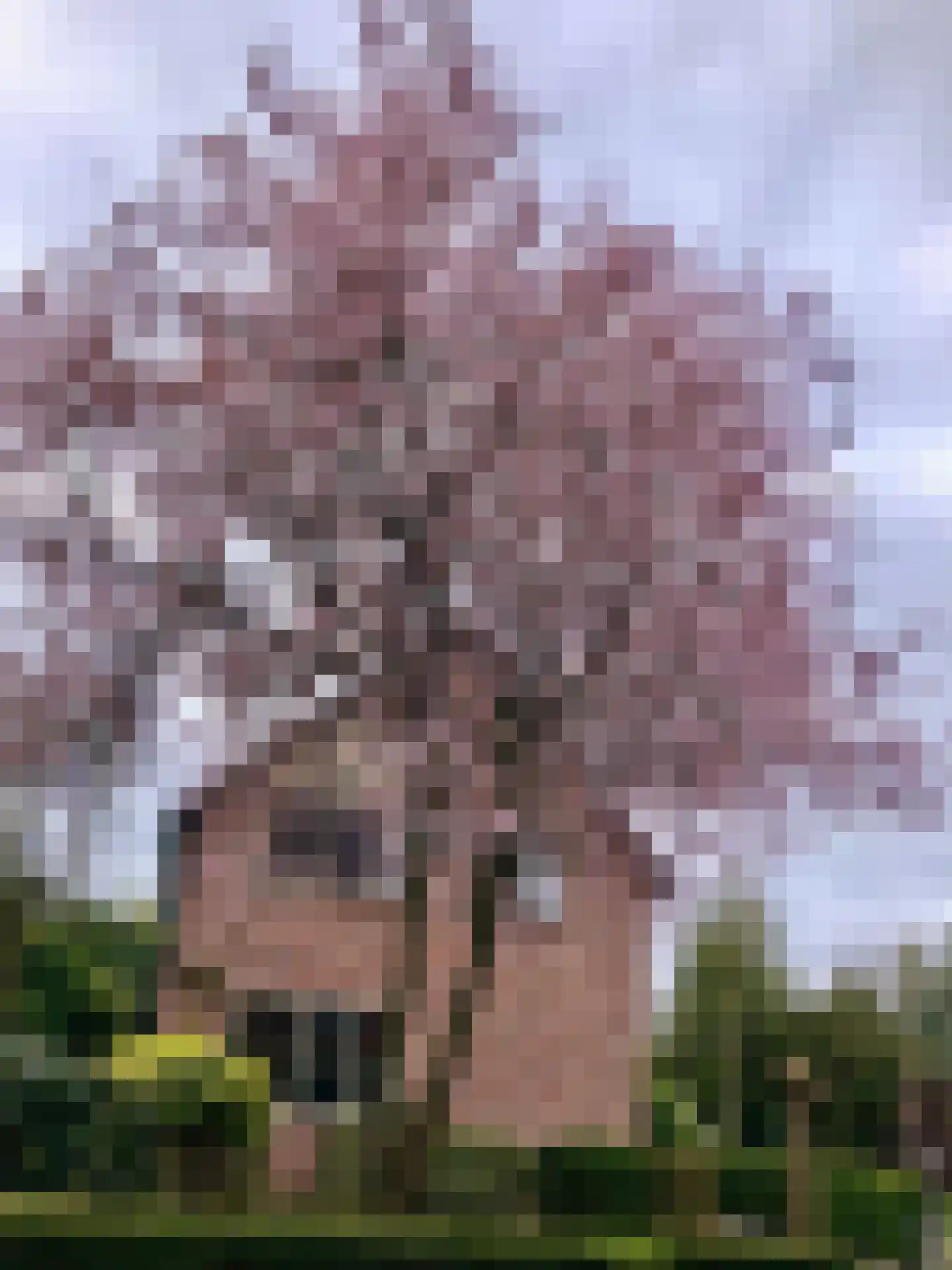 Leuverinkstraat 22 Gaanderen thumbnail 80