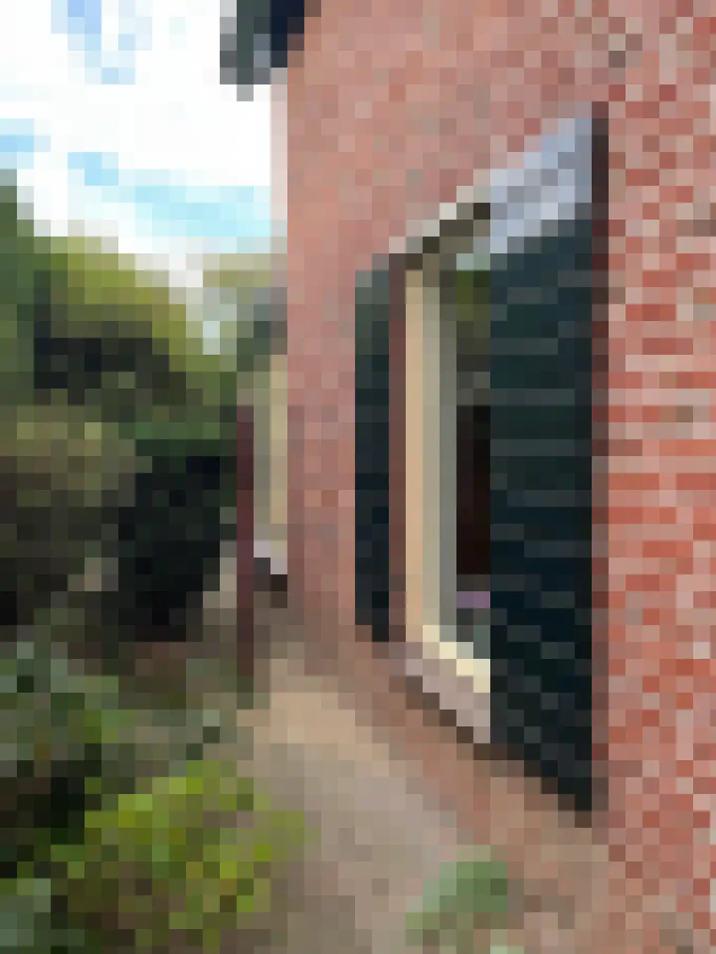 Leuverinkstraat 22 Gaanderen thumbnail 83