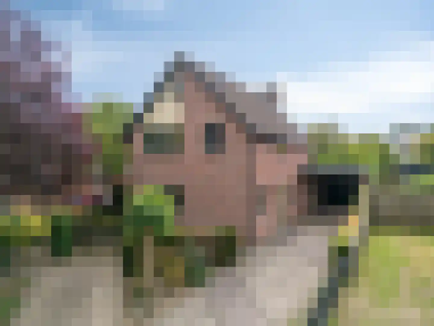 Leuverinkstraat 22 Gaanderen thumbnail 85