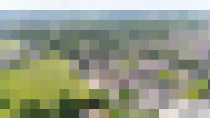 Leuverinkstraat 34 Gaanderen thumbnail 4