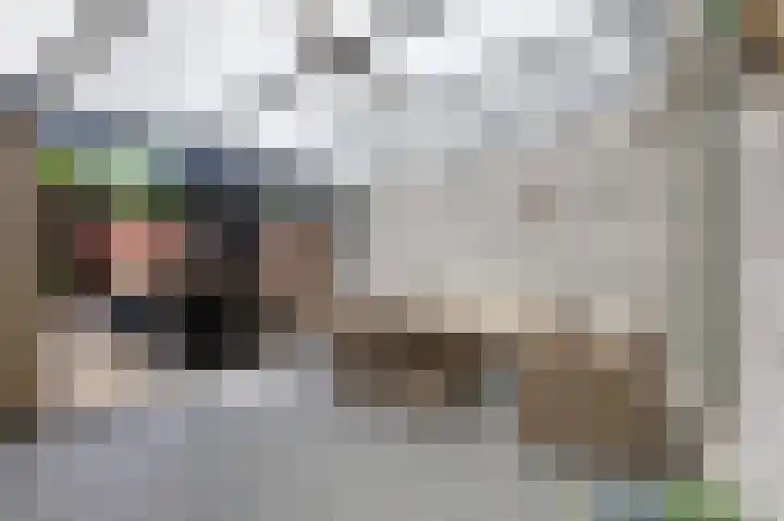 Leuverinkstraat 34 Gaanderen thumbnail 44