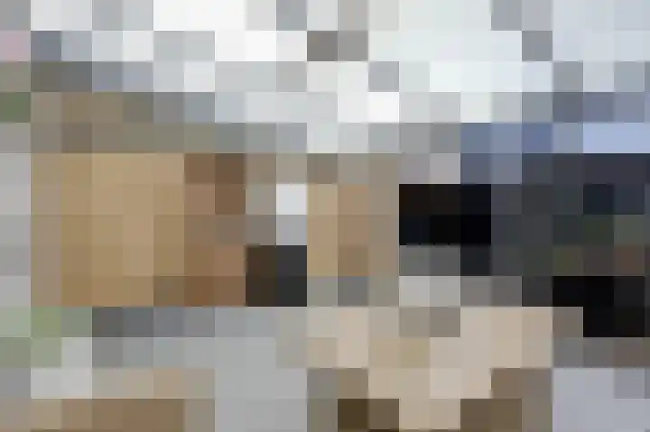 Leuverinkstraat 34 Gaanderen thumbnail 47