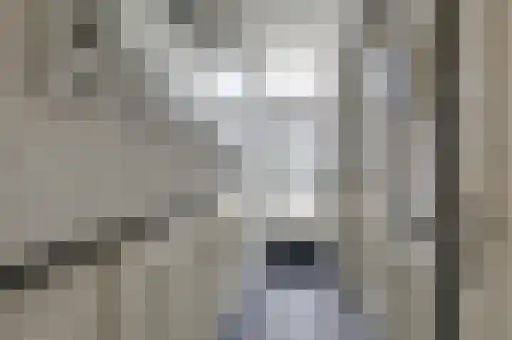 Leuverinkstraat 34 Gaanderen thumbnail 9