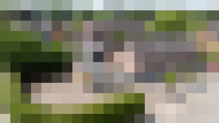 Leuverinkstraat 34 Gaanderen thumbnail 94