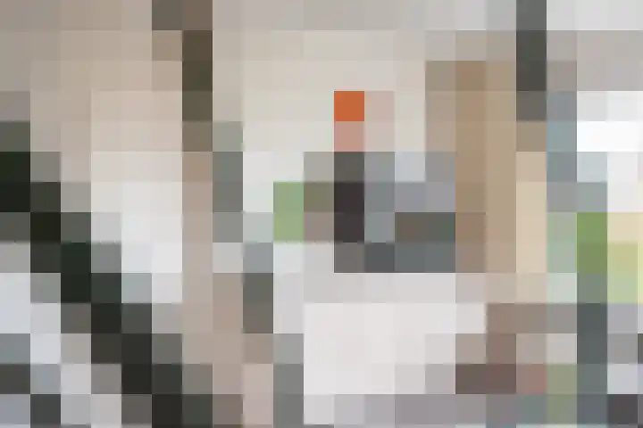 Leuverinkstraat 5 Gaanderen thumbnail 12
