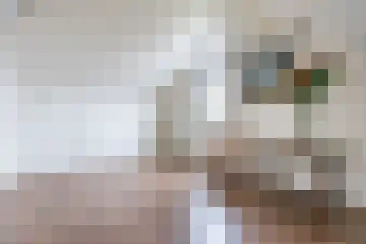 Leuverinkstraat 5 Gaanderen thumbnail 39