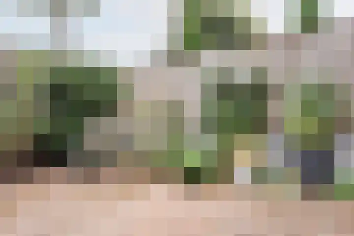 Leuverinkstraat 5 Gaanderen thumbnail 47