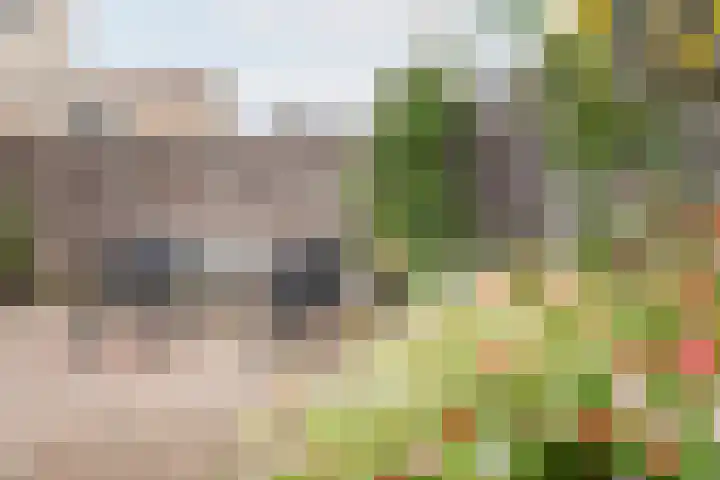 Leuverinkstraat 5 Gaanderen thumbnail 48