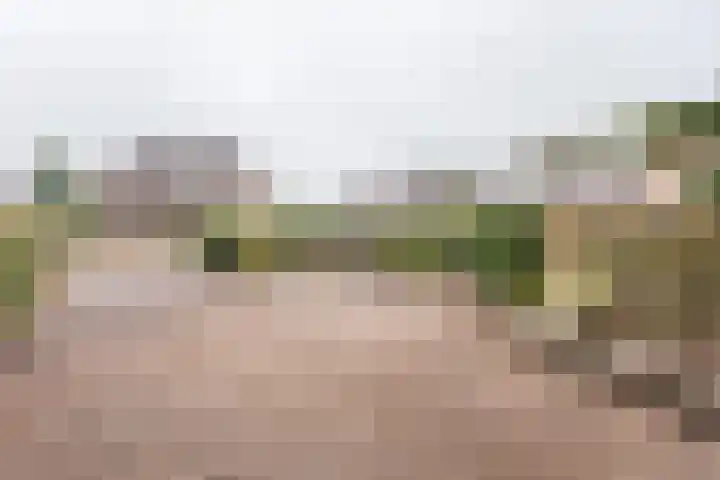 Leuverinkstraat 5 Gaanderen thumbnail 50
