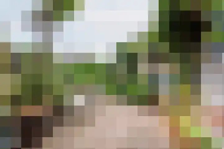 Leuverinkstraat 5 Gaanderen thumbnail 51