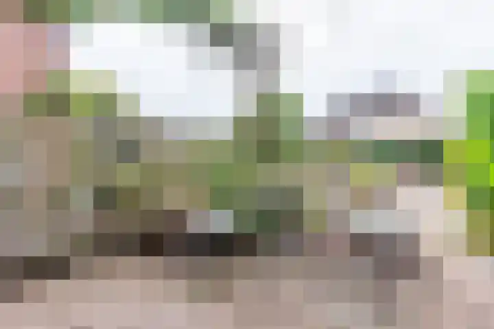 Leuverinkstraat 5 Gaanderen thumbnail 52