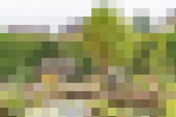 Leuverinkstraat 5 Gaanderen thumbnail 53