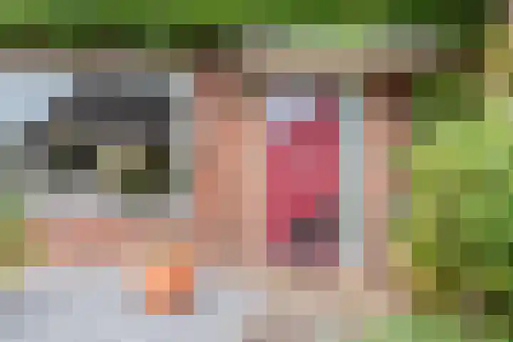 Leuverinkstraat 5 Gaanderen thumbnail 6