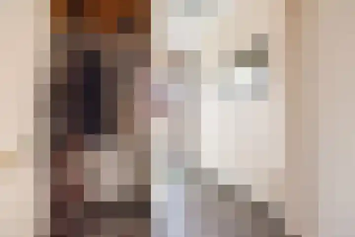 Leuverinkstraat 5 Gaanderen thumbnail 9
