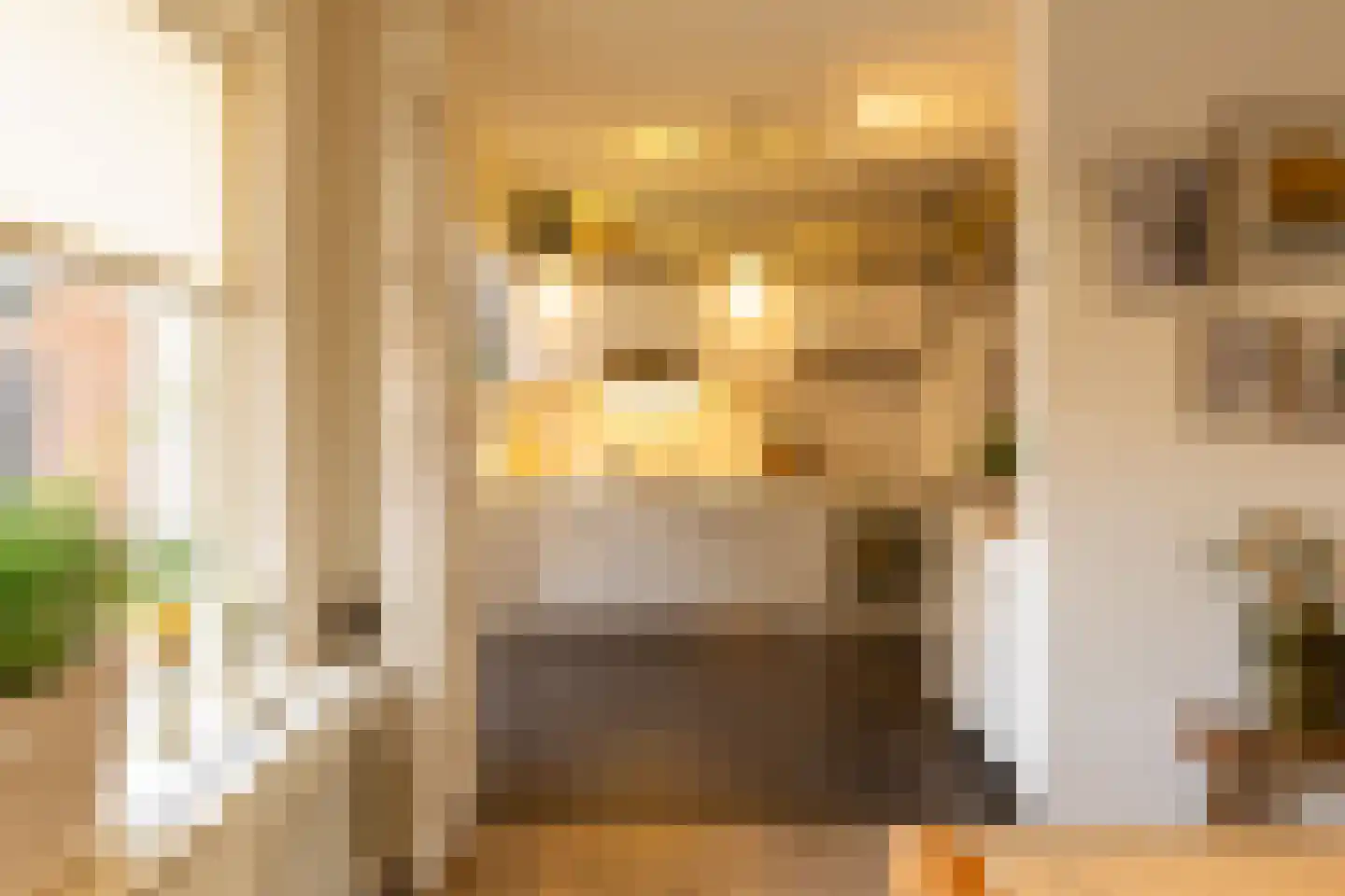 Leuverinkstraat 9 Gaanderen thumbnail 15