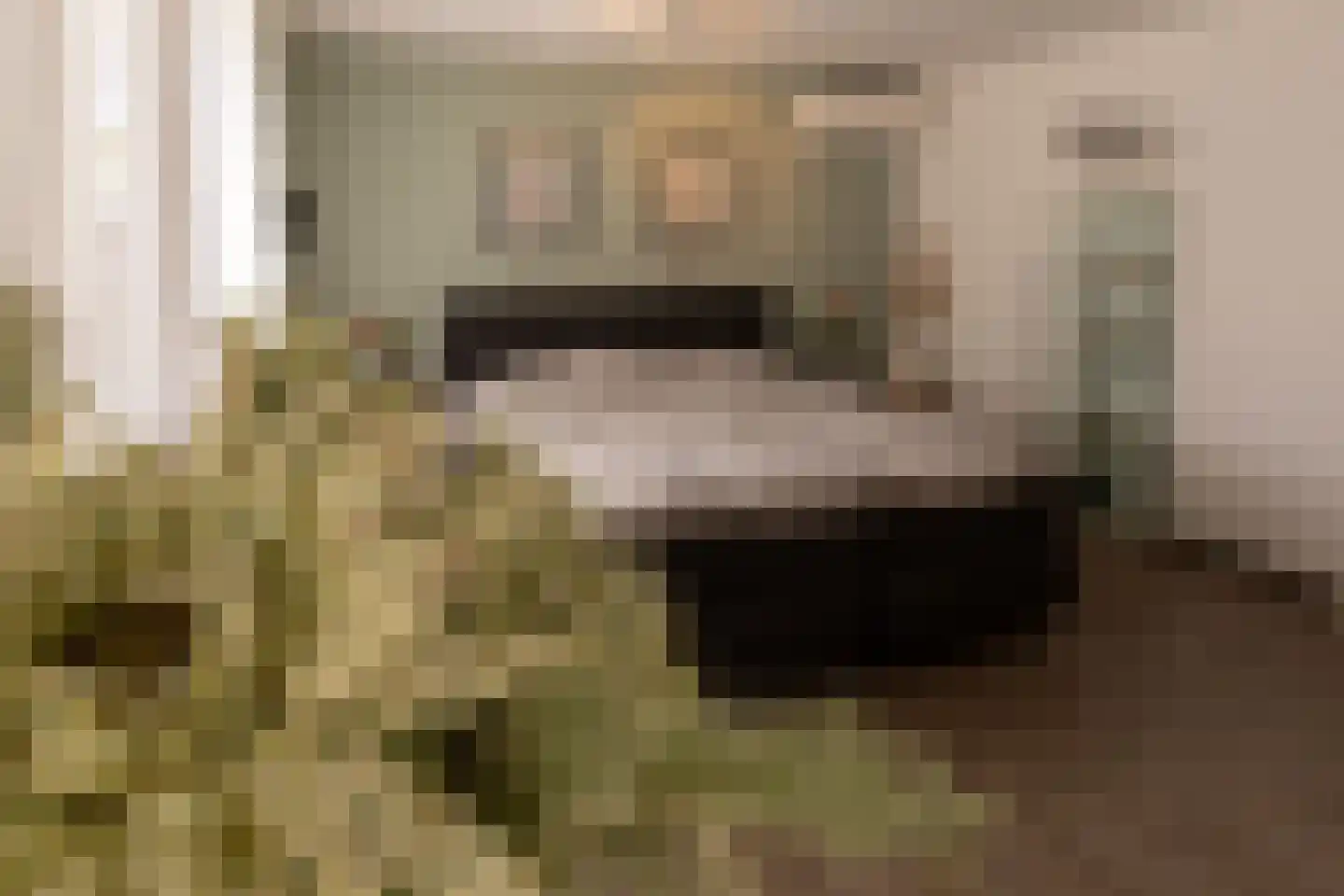 Leuverinkstraat 9 Gaanderen thumbnail 22