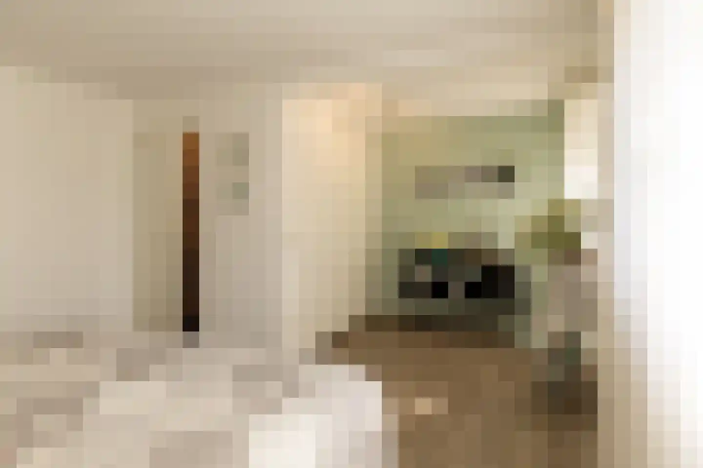 Leuverinkstraat 9 Gaanderen thumbnail 23