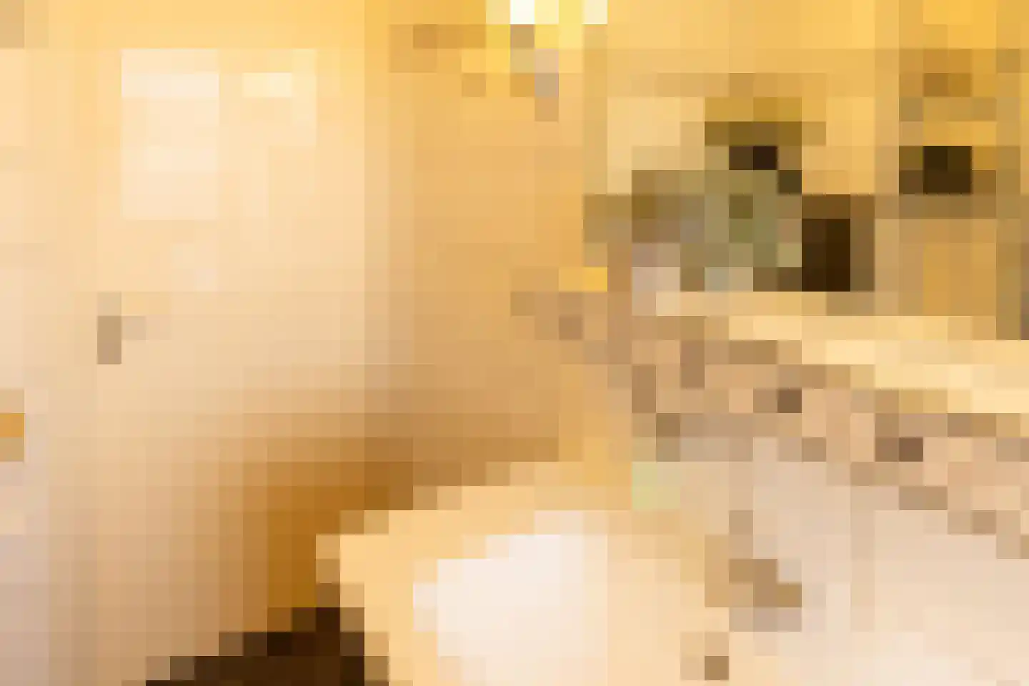 Leuverinkstraat 9 Gaanderen thumbnail 27